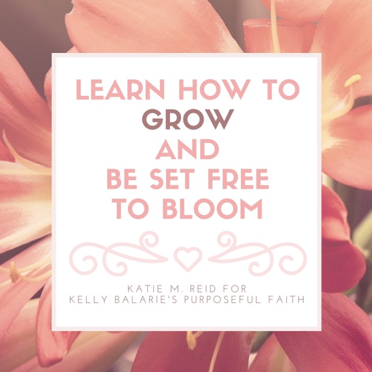 Learn how to grow and be set free to bloom by Katie M. Reid for Kelly Balarie's Purposeful Faith
