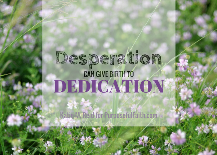 Desperation can give birth to dedication by Katie M. Reid for Kelly Balarie's Purposeful Faith