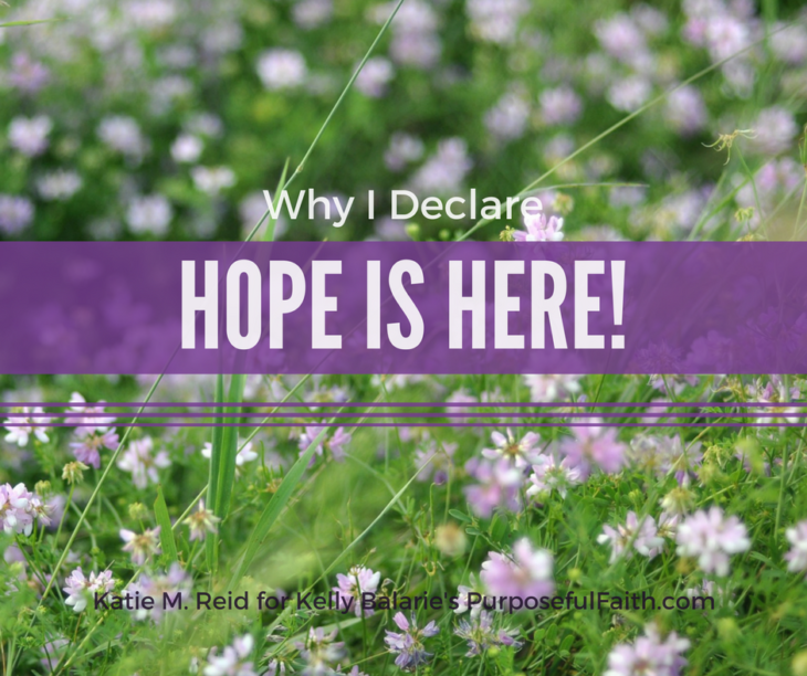Why I declare that hope is here image with a field of purple flowers by Katie M. Reid Photography